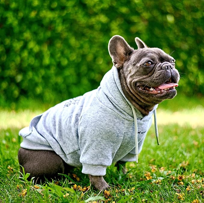 Tuff Pupper Dog Hoodie | Premium Quality 100% Organic Cotton | Ultra Soft Interior for Superior Comfort | Elastic Cuffs & Drawstring for Warmth | Stretch Fit Suitable for All Breeds (Gray, S)