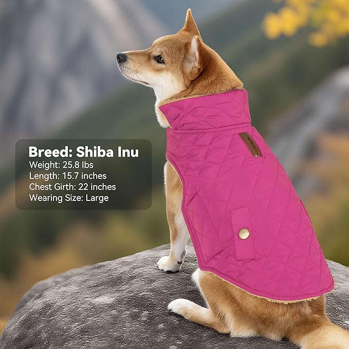 Dog Coat, Warm Soft Dog Winter Coats for Small Dogs, Waterproof Windproof Dogs Adjustable Jacket with Fleece Lined Turtleneck Doggy Snowsuit with Leash Hole, Rose Red Large