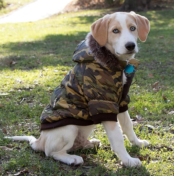 PET LIFE Classic Metallic Fashion Pet Dog Coat Jacket Parka w/ 3M Insulation and Removable Hood, Medium, Camouflage