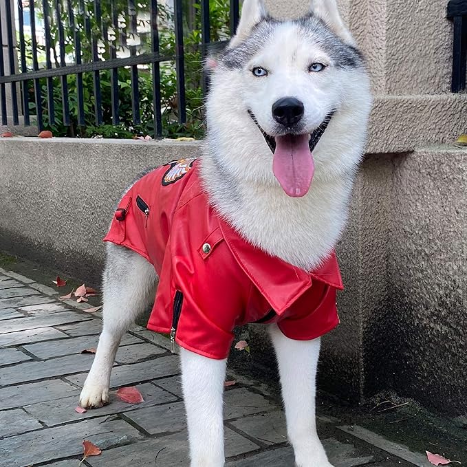 Lovelonglong Cool Dog Leather Jacket, Warm Coats Dogs Windproof Cold Weather Coats for Large Medium Small Dogs with Eagle Embroidery Red L-S