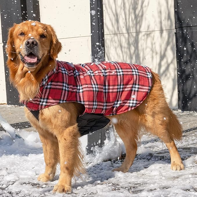 CuteBone Winter Dog Jacket - Reversible, Windproof & Waterproof - Thick, Soft Coat with Leash Hole - Sizes S, M, L - Perfect for Cold Weather