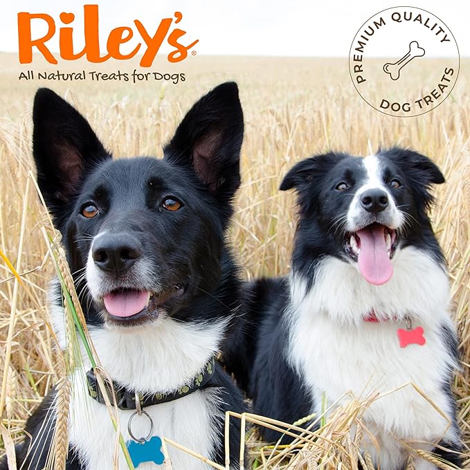 Riley's Cod Skins for Dogs - Air Dried Single Ingredient Dog Treats - Short, Hand Wrapped Cod Skin Dog Treats - Sustainably Caught in Iceland - 3 Pack 5 inch Chew Sticks