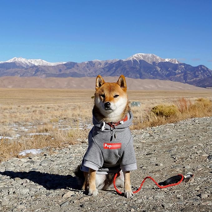 ChoChoCho Pup Dog Hoodie, Cat Hoodies - Stylish Streetwear Sweatshirt, Cotton Pet Clothing for Dog Cat Puppy Small Medium Large (5XL) - Gray