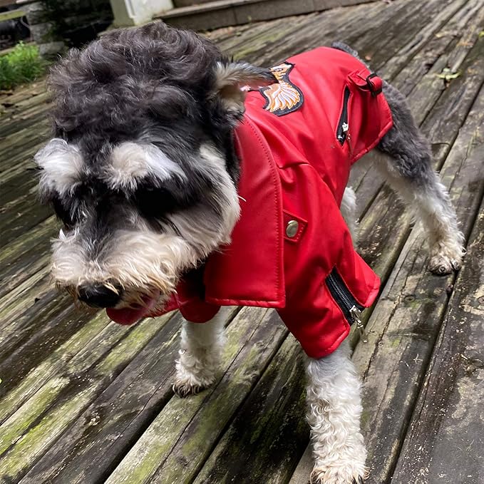 Lovelonglong Cool Dog Leather Jacket, Warm Coats Dogs Windproof Cold Weather Coats for Large Medium Small Dogs with Eagle Embroidery Red S