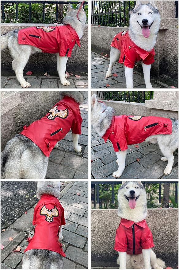 Lovelonglong Cool Dog Leather Jacket, Warm Coats Dogs Windproof Cold Weather Coats for Large Medium Small Dogs with Eagle Embroidery Red L-M