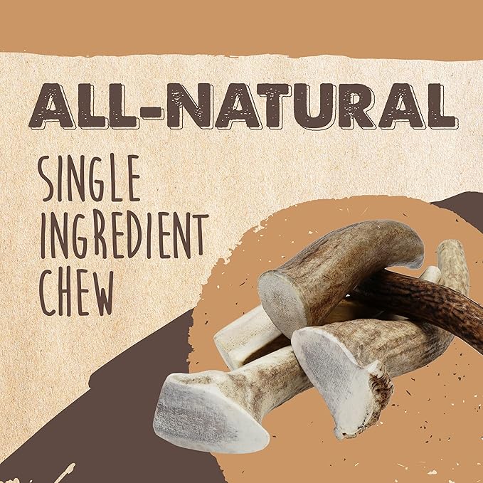 Mighty Paw Split Elk Antlers for Dogs (Sourced in The USA) | 2 Whole Large 8"+ Long Lasting Bones for Aggressive Chewers - Naturally Shed Split Deer Antler for Dogs - Low Odor Chews (Pack of 2)