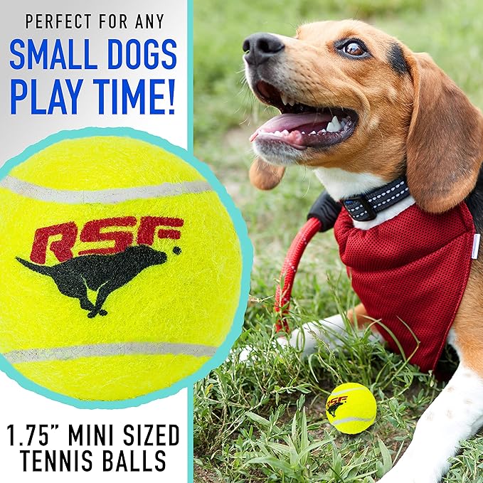 Franklin Pet Supply Co. RSF Squeak Mini 1.75" Tennis Balls - Dog Toy Squeaks When Squeezed - 12 Pack - For Small Dogs - Squeaker Noise