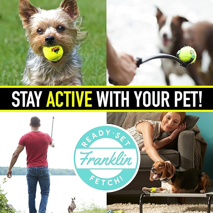 Franklin Pet Supply Co. RSF Squeak Mini 1.75" Tennis Balls - Dog Toy Squeaks When Squeezed - 12 Pack - For Small Dogs - Squeaker Noise