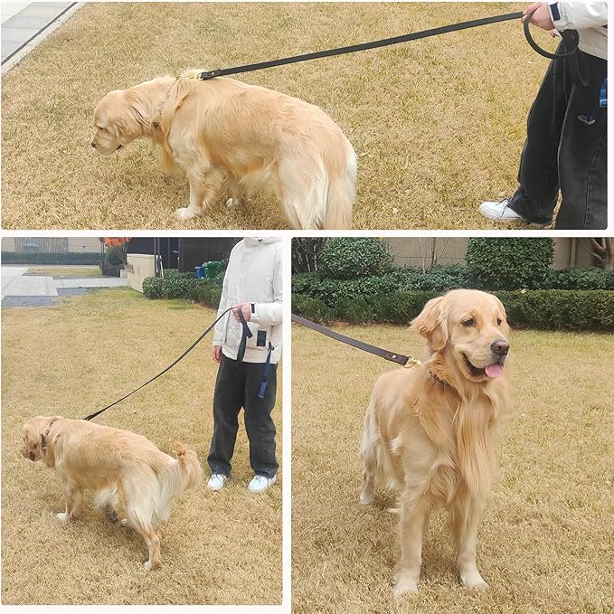 Leather Dog Leash 6 ft x 3/4 inch,Strong and Soft Heavy Duty Genuine Leather Dog Leash for Large, Medium, Small Dogs Premium Leather Leash for Dogs
