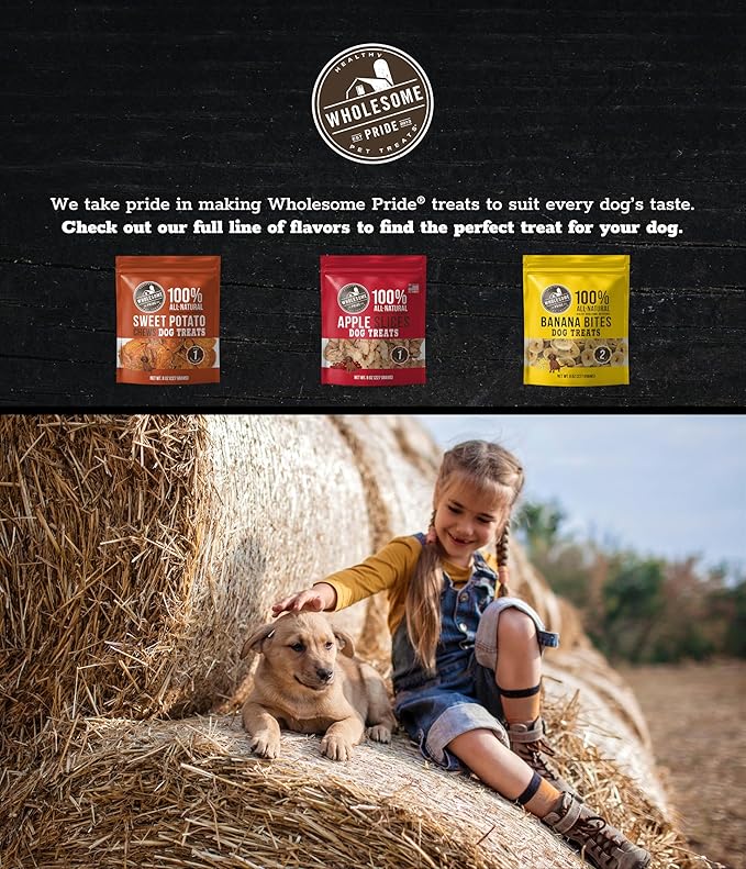 Wholesome Pride Sweet Potato Fries 100% All-Natural Single Ingredient Dog Treats, 8 oz