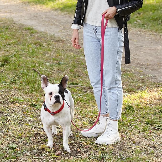 Dogline Biothane Waterproof Dog Leash Strong Coated Nylon Webbing with Black Hardware Odor-Proof Easy to Clean High Performance for Small or Large Dogs Made in USA 4 or 6 ft Lead, Passionfruit Pink