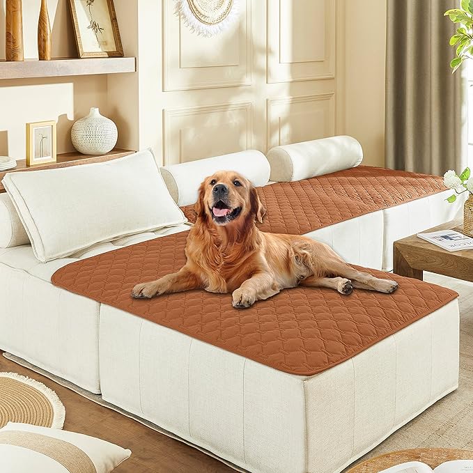 gogobunny 100% Double-Sided Waterproof Dog Bed Cover Pet Blanket Sofa Couch Furniture Protector for Puppy Large Dog Cat, Reversible (40x50 Inch (Pack of 1), Dark Pumpkin/Light Pumpkin)