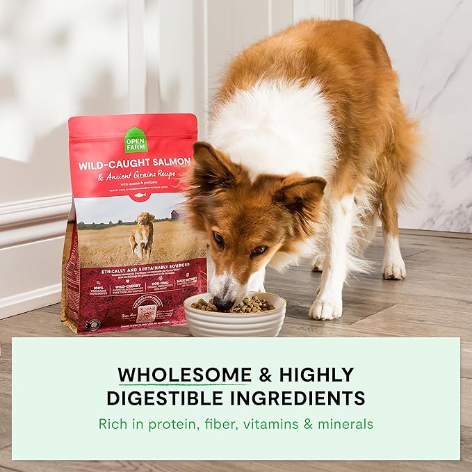 Open Farm, Ancient Grains Dry Dog Food, Protein-Rich & Nutrient Dense, 90% Animal Protein Mixed with Non-GMO Fruits, Veggies and Superfoods, Pasture Raised Lamb Recipe, 11lb Bag