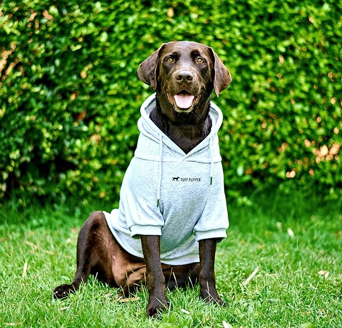 Tuff Pupper Dog Hoodie | Premium Quality 100% Organic Cotton | Ultra Soft Interior for Superior Comfort | Elastic Cuffs & Drawstring for Warmth | Stretch Fit Suitable for All Breeds (Gray, 3XL)