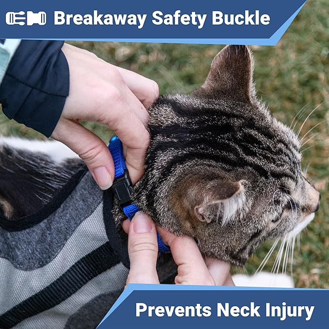 GoTags Cat Collars with Personalized Tag, Breakaway Collar with Safety Buckle Matching Bell, Engraved Custom with Name and Phone, Adjustable for Cats and Kitten, (Red with Nameplate)