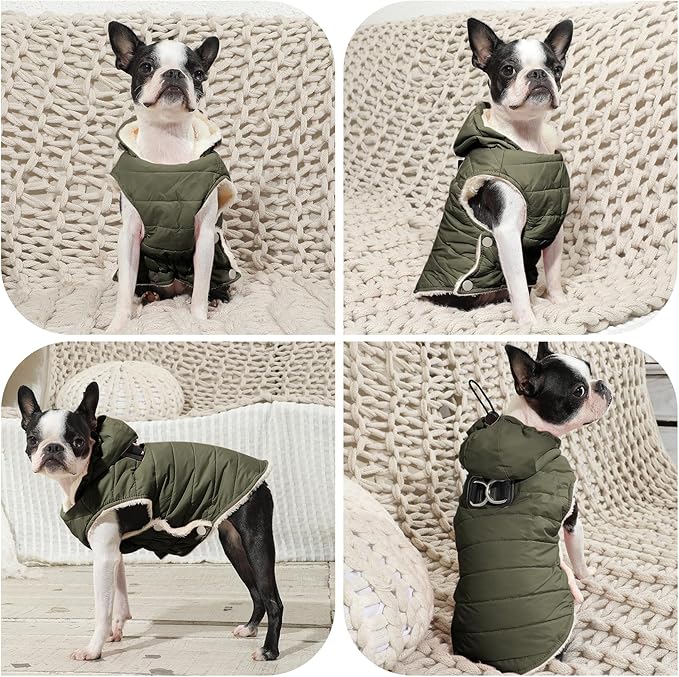 Fleece Lining Dog Hoodie with Harness Built in,Extra Warm Small Dog Jacket in Winter Puppy Coats with Drawstring Hooded,Green S