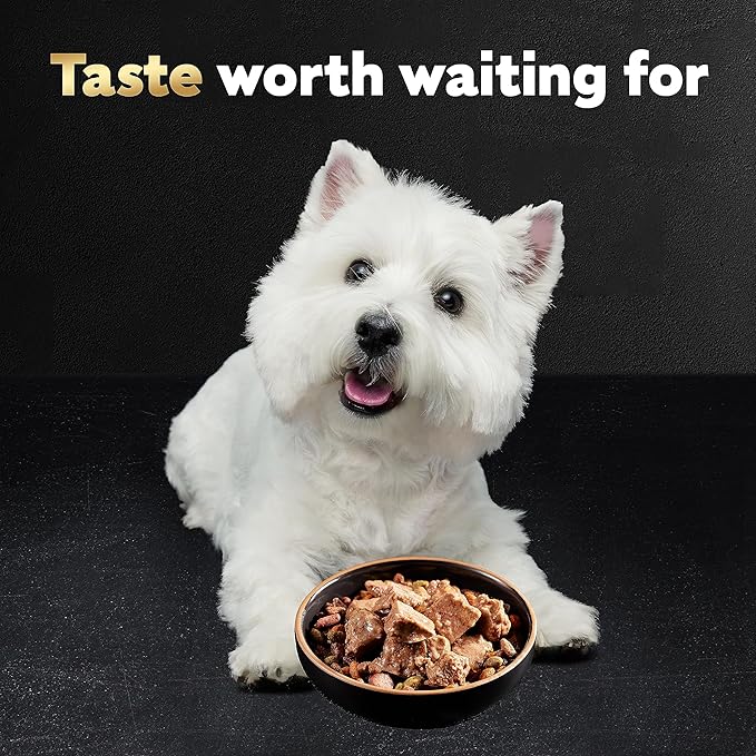 Cesar Wet Dog Food Loaf in Sauce Rotisserie Chicken, Filet Mignon, Angus Beef, and Ham & Egg Flavors Variety Pack, 3.5 oz. Easy Peel Trays (24 Count, Pack of 1)