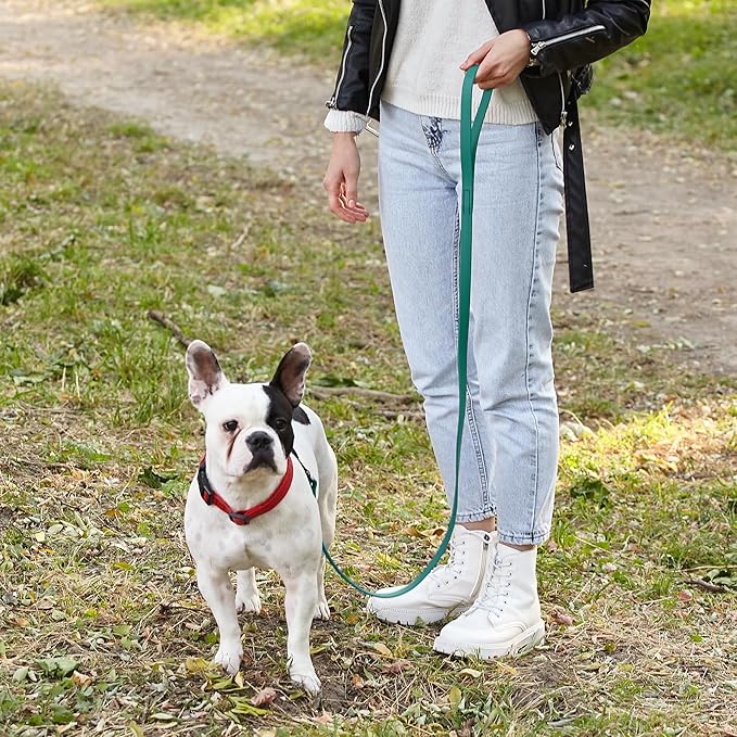 Dogline Biothane Waterproof Dog Leash Strong Coated Nylon Webbing with Black Hardware Odor-Proof Easy to Clean High Performance for Small or Large Dogs Made in USA 4 or 6 ft Lead, Blue Aqua