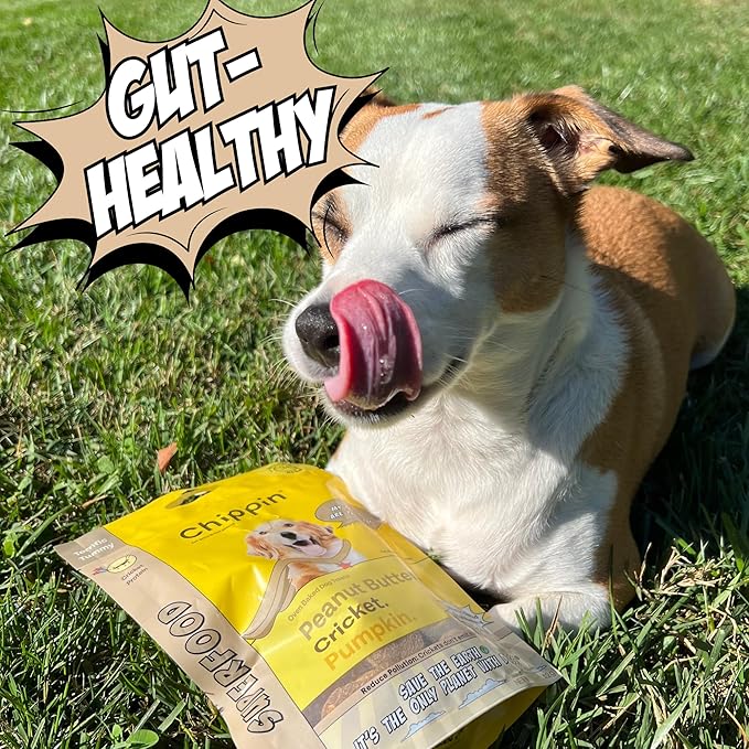 Peanut Butter Dog Biscuits, Pumpkin & Cricket Protein All Natural Dog Treats, Healthy Puppy Treats, Hypoallergenic, Gut Healthy, Sustainable Products, 2-Pack