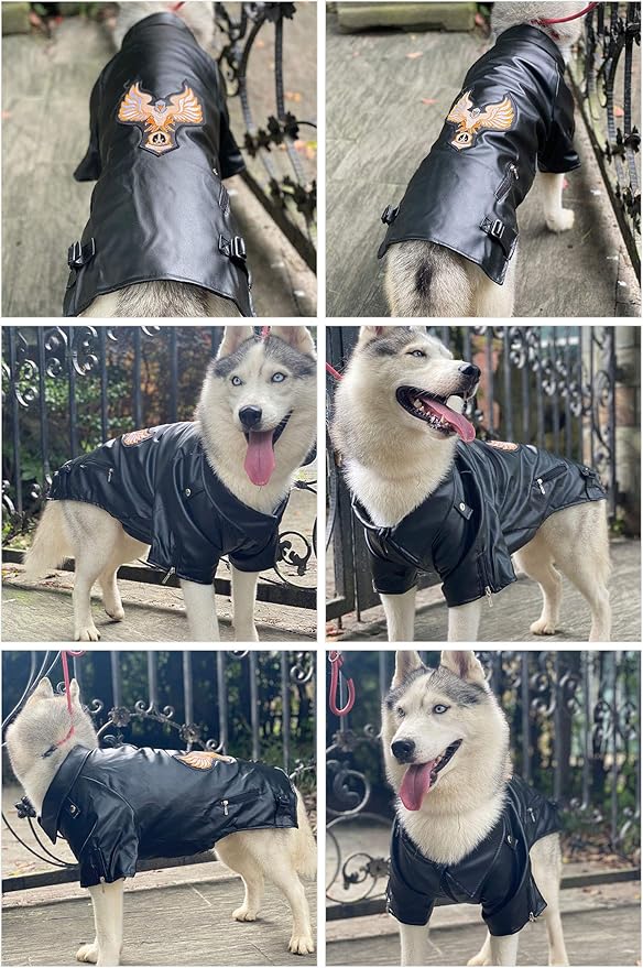 Lovelonglong Cool Dog Leather Jacket, Warm Coats Dogs Windproof Cold Weather Coats for Large Medium Small Dogs with Eagle Embroidery Black L-M