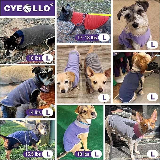 cyeollo 2 Pack Small Dog Sweater Stretchy Fleece Sweatshirt Boy Doggie Sweatshirt with Reflective Stripe Pullover Dog Clothes Pet Sweaters Turquoise & Grey