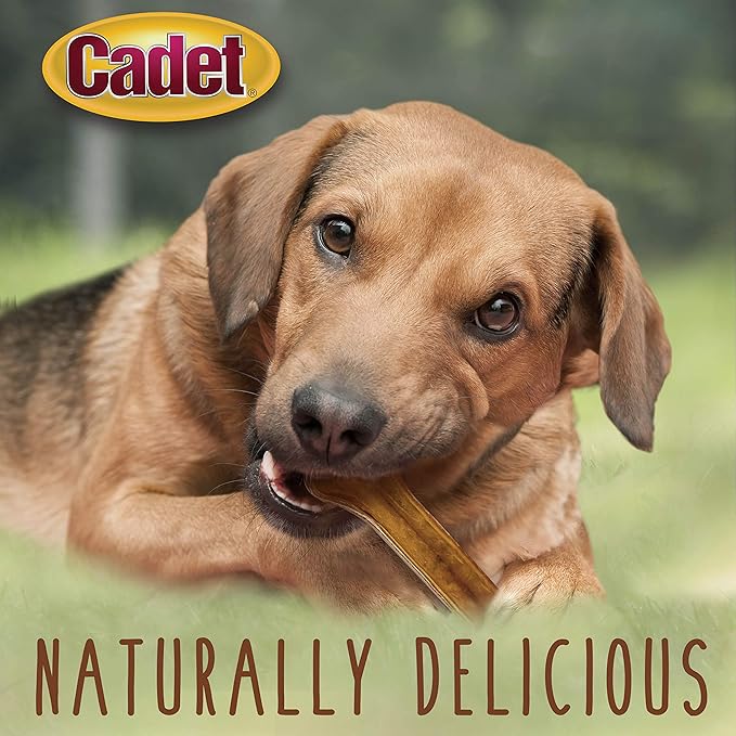 Cadet Premium Grade Pressed Beef Hide Bones, Long Lasting Rawhide Dog Chews, 8 Inch (6 Count)