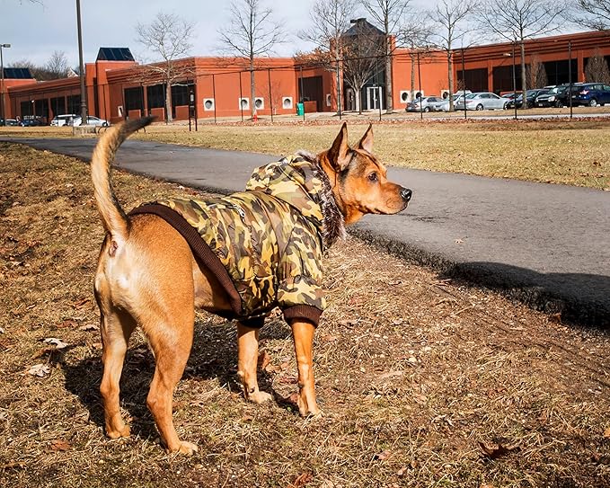 PET LIFE Classic Metallic Fashion Pet Dog Coat Jacket Parka w/ 3M Insulation and Removable Hood, Large, Camouflage
