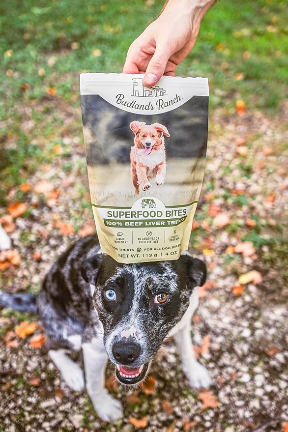 BADLANDS RANCH - Superfood Bite, Freeze-Dried Raw Dog Treats - Protein Rich, Train & Reward, Traceable Single Ingredient by Katherine Heigl (Beef Liver)
