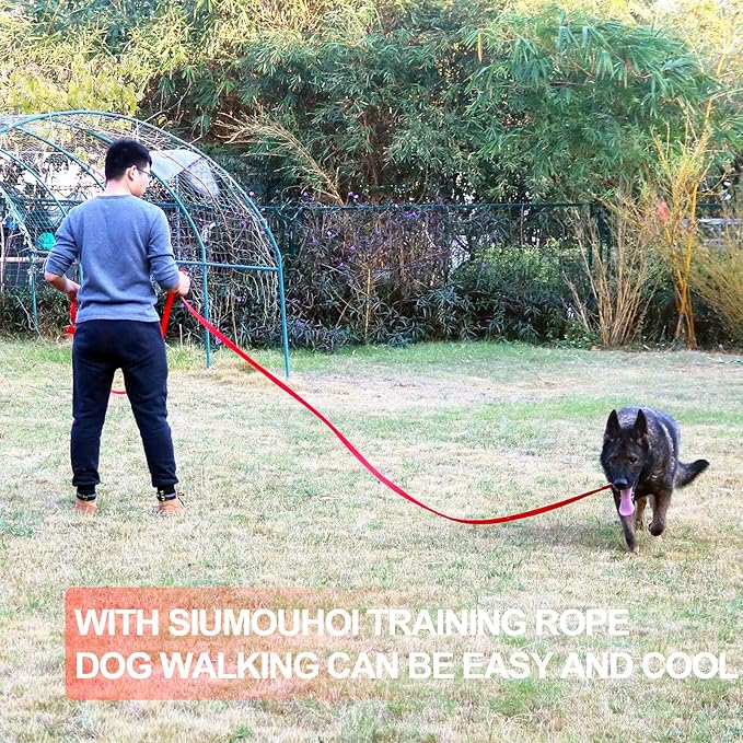 Dog/Puppy Obedience Recall Training Agility Lead - 15ft 20ft 30ft 40ft 50ft Training Leash - Great for Play, Camping, or Backyard - Black 30ft (30Feet, Black)