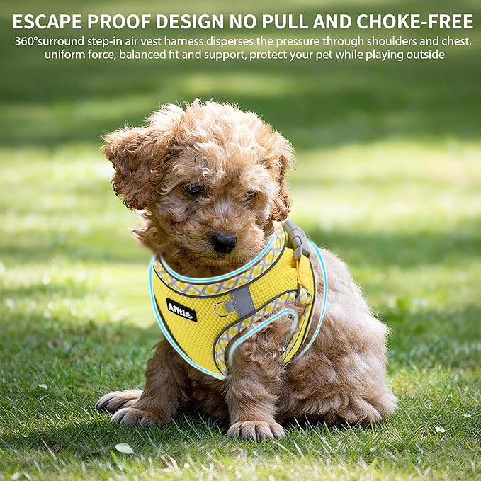 AIITLE Teacup Puppy Harness with Leash - Adjustable Soft Vest with Magic Magic Tape & Reflective Safety Strips, Easy-Put-On for Poodles, Pomeranians - Gym, Hiking, Travel (Yellow, S)