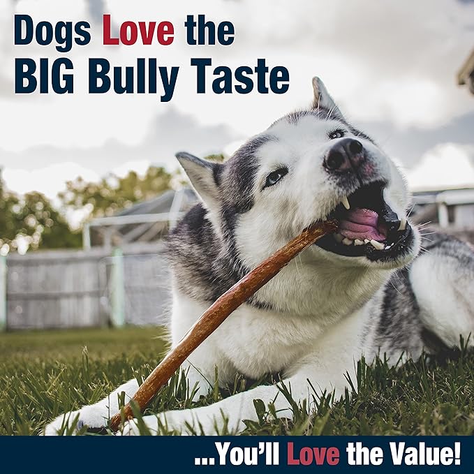 Cadet Bully Hide Sticks for Large Dogs – All-Natural Beef Pizzle, High Protein, Low Fat, Long-Lasting, Grain & Rawhide-Free Dog Chews for Aggressive Chewers, Large (8 Count)