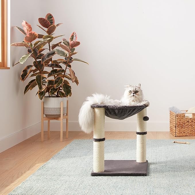 Amazon Basics Cat Condo Tower with Hammock Bed and Scratching Post,Easy to Assemble,Plush Hammock,Interactive Hanging Ball, Durable Sisal Scratch Posts for Indoor Cats, 15.8 x 15.8 x 19.7 Inches, Gray