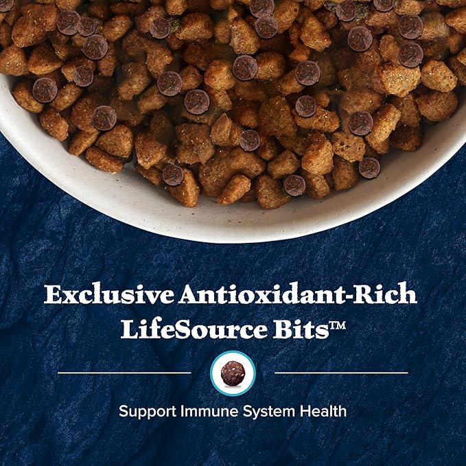 Blue Buffalo Wilderness Senior High Protein Dry Dog Food Wholesome Grains with Ingredients Chicken