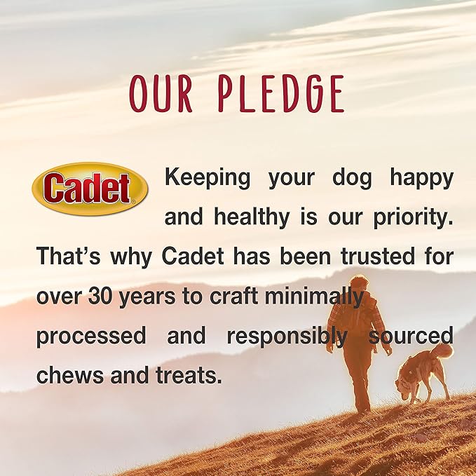 Cadet Bully Sticks for Small Dogs, All-Natural Beef Pizzle, Rawhide-Free Long-Lasting Dog Chews for Aggressive Chewers, 1 Pound