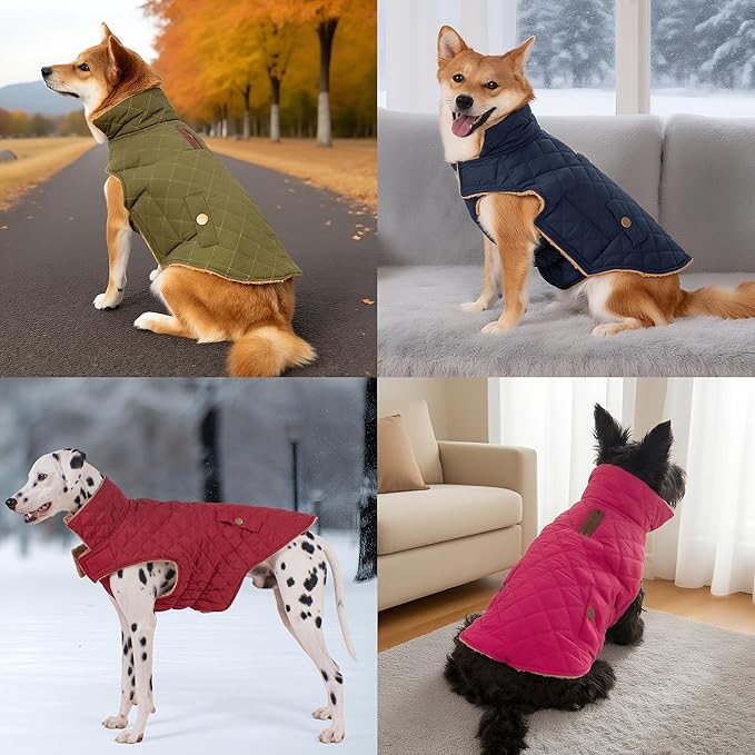 Dog Coat, Warm Winter Dog Waterproof Jacket for Medium Dogs, Fleece Lined Adjustable Dogs Coats Cold Weather Windproof Doggie Snowsuit with Leash Hole, Green X-Large