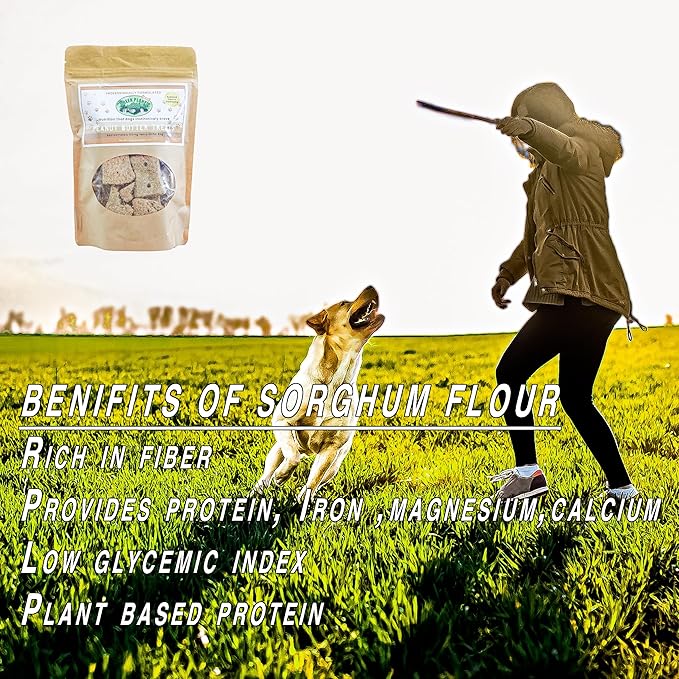 Dog Treats | Peanut Butter 100mg of Hemp Per Bag | 100% Natural and Non GMO | Offers Your Pet Hip, Joint, and Muscle Support | Aids with Anxiety,Stress, and Pain