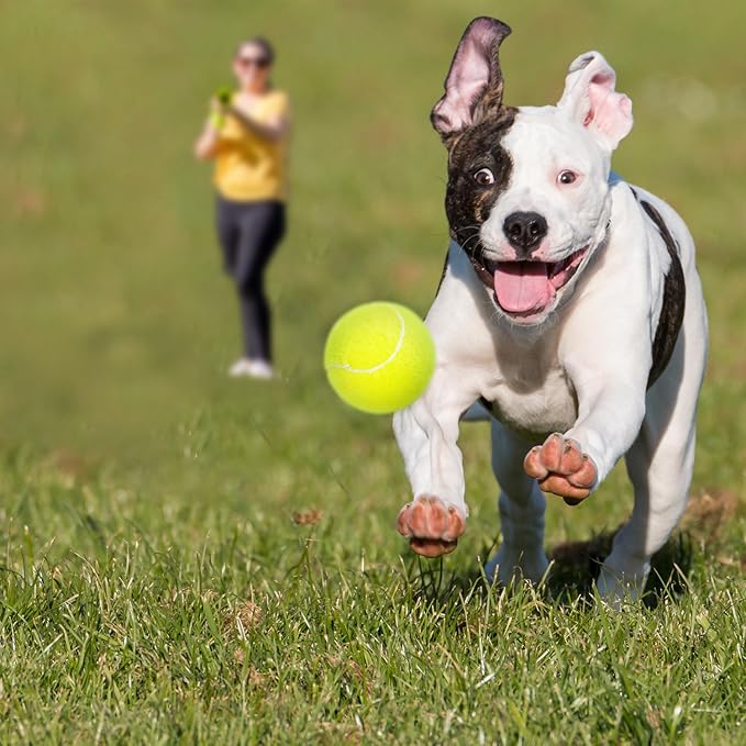 BESTHLS Dog Ball 2.5 inch Tennis Dog Treat Ball for Small Medium Pet Peppy Playing Fetching Chewing Exercise & Training Indoor Outdoor (16 Pack)