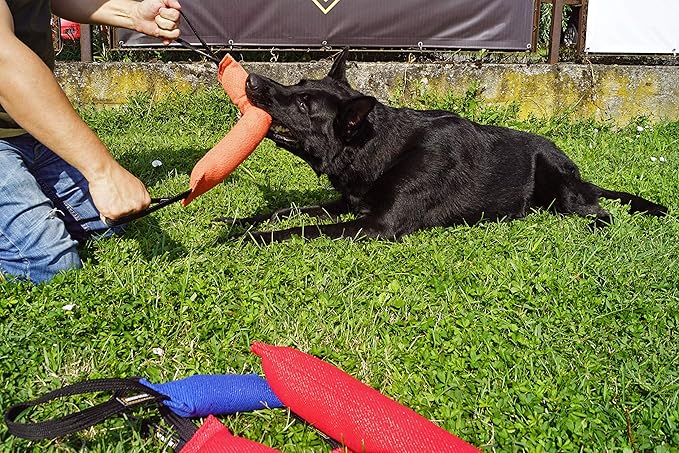 Dingo Gear French Linen tug Toy for Dog, Dog Bumper for Training, Agility, tug of war, Dog bite Pillow for Strong Dog, 2handles 18" red S00068
