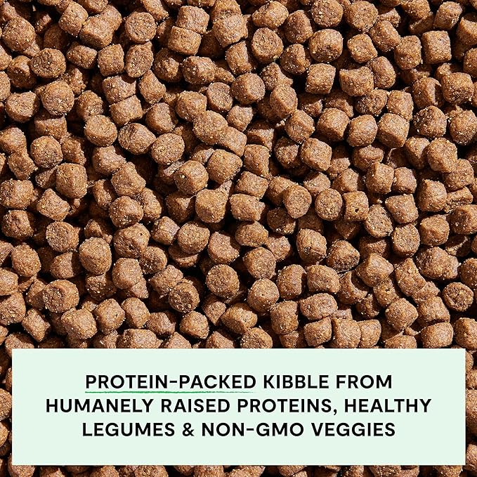 Open Farm, Grain-Free Dry Dog Food, Complete & Balanced Kibble, Sustainably & Ethically Sourced Ingredients, Non-GMO Veggies & Superfoods Support Overall Health, Pasture Raised Lamb Recipe, 11lb Bag