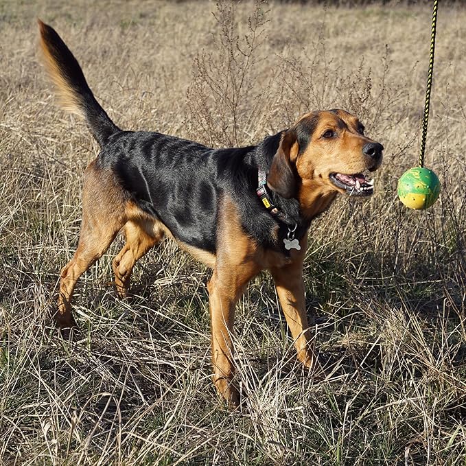 Dingo Fetch Ball Made of Hard Rubber with Knobs and String, Small, for Aport Game Dog Training 17321